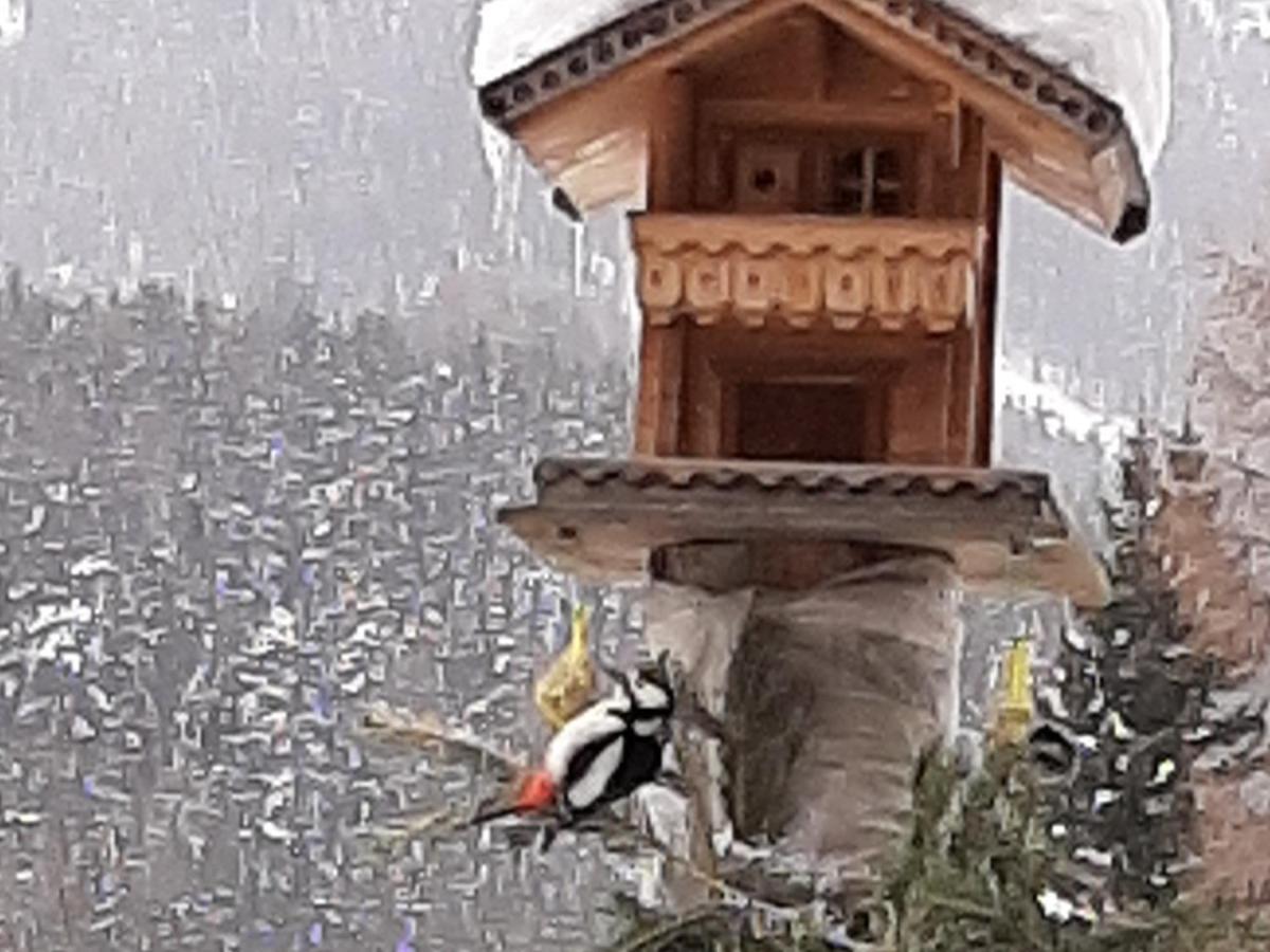 Pension Fuerhapter Mit Bio- Bauernhof Sankt Jakob in Defereggen Bagian luar foto