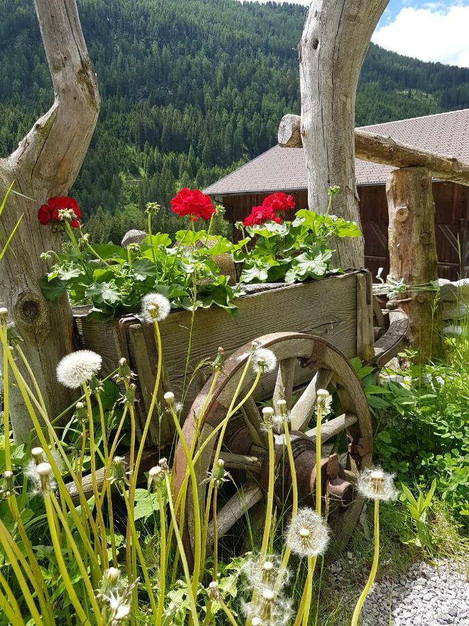 Pension Fuerhapter Mit Bio- Bauernhof Sankt Jakob in Defereggen Bagian luar foto
