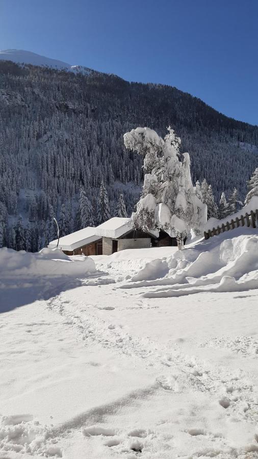 Pension Fuerhapter Mit Bio- Bauernhof Sankt Jakob in Defereggen Bagian luar foto